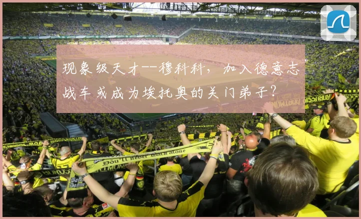 现象级天才--穆科科，加入德意志战车或成为埃托奥的关门弟子？