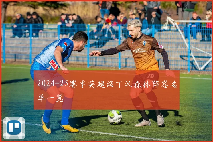 2024-25赛季英超诺丁汉森林阵容名单一览